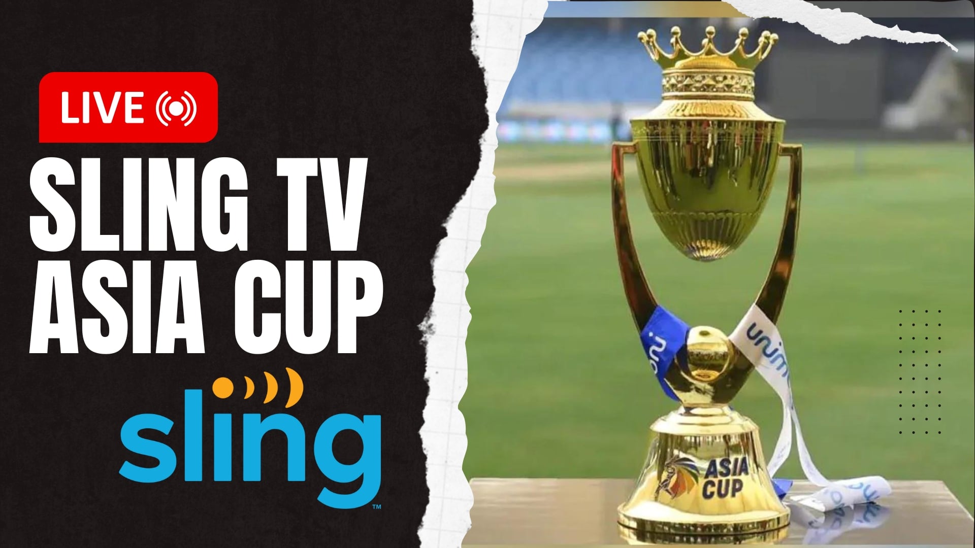 How to Watch Asia Cup on Sling TV (50% OFF)